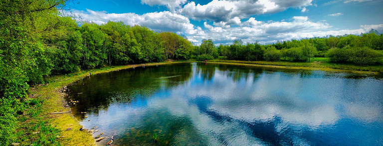 A forest lake that reflects clouds running across the sky